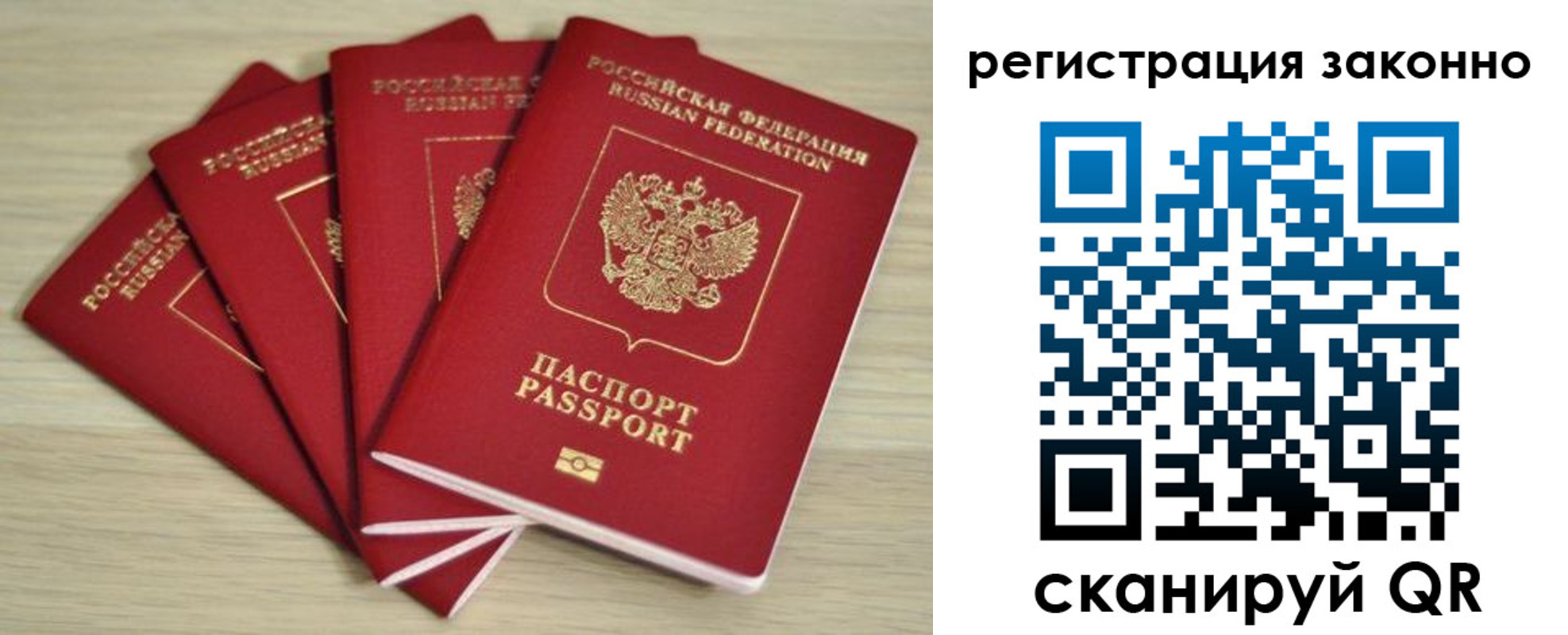 прописка в Светлогорске